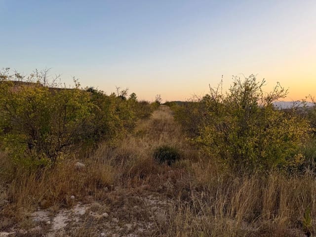 Finca/Landhuis te koop in Macisvenda, Abanilla - € 54.900 (Ref: 10044431)