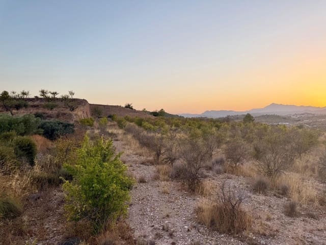 Finca/Landhuis te koop in Macisvenda, Abanilla - € 54.900 (Ref: 10044431)
