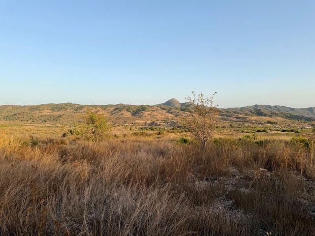 Finca/Landhuis te koop in Macisvenda, Abanilla - € 19.900 (Ref: 10044434)