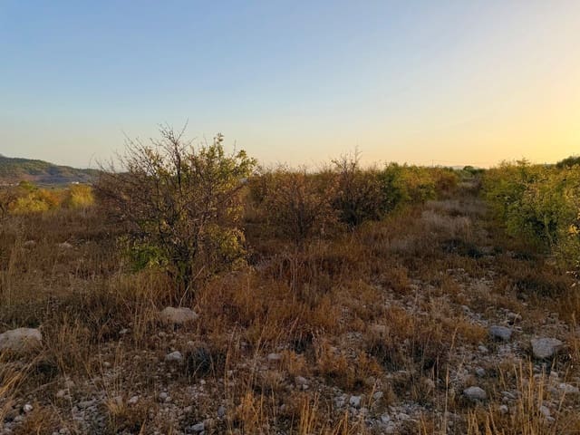 Finca/Landhuis te koop in Macisvenda, Abanilla - € 19.900 (Ref: 10044434)