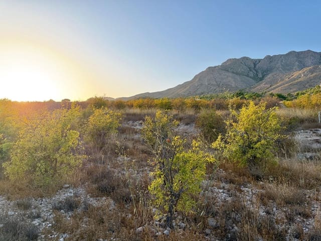 Finca/Landhuis te koop in Macisvenda, Abanilla - € 19.900 (Ref: 10044434)