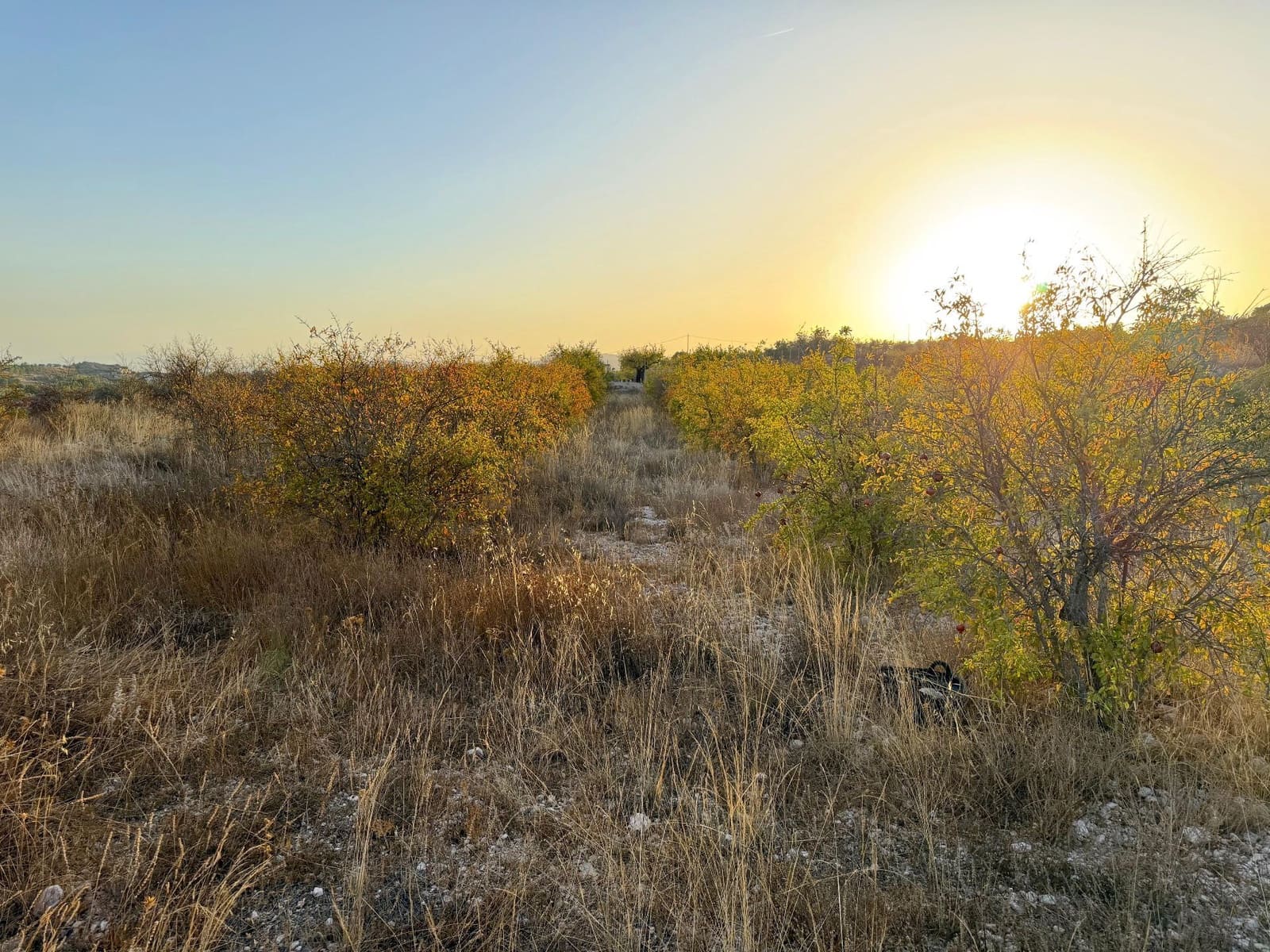 Finca/Landhuis te koop in Macisvenda - € 19.900 (Ref: 10044434)