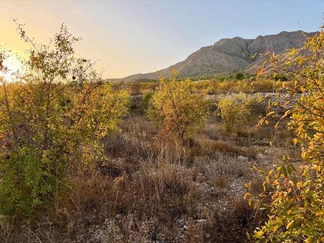 Finca/Landhuis te koop in Macisvenda, Abanilla - € 19.900 (Ref: 10044434)