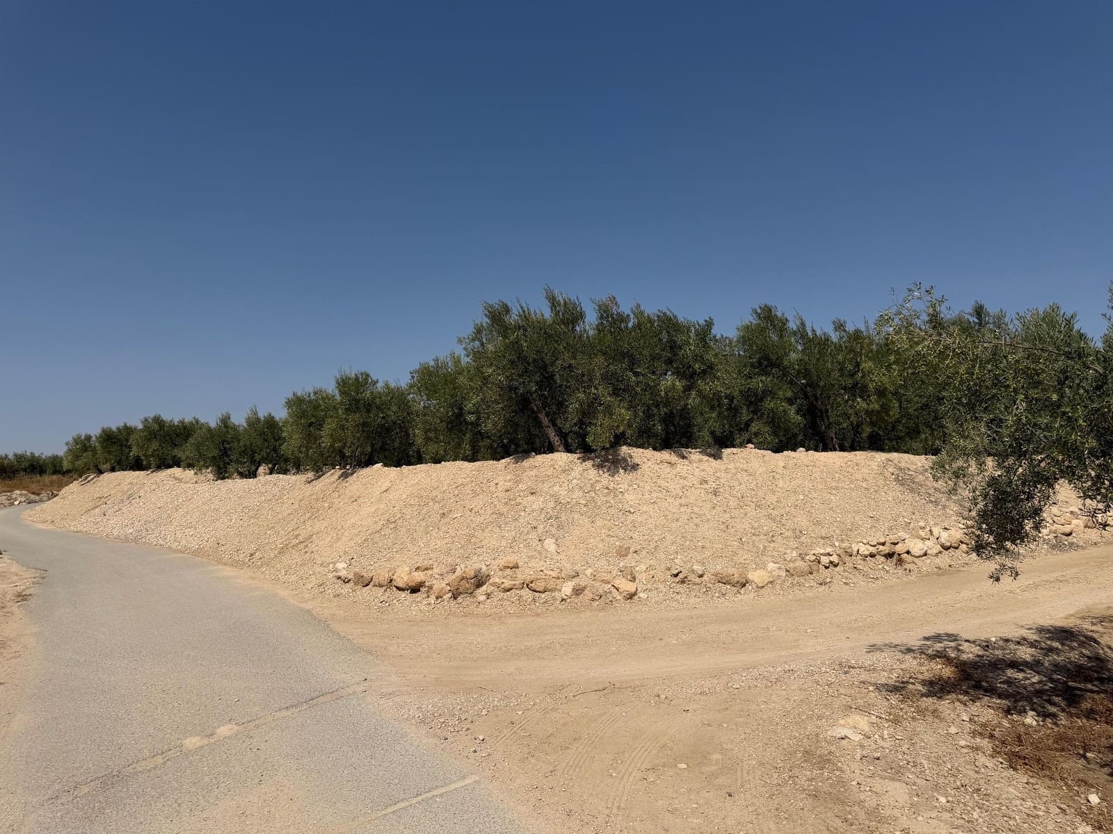 Finca/Casa Rural en Abanilla en venta - 23.900 € (Ref: 10057952)
