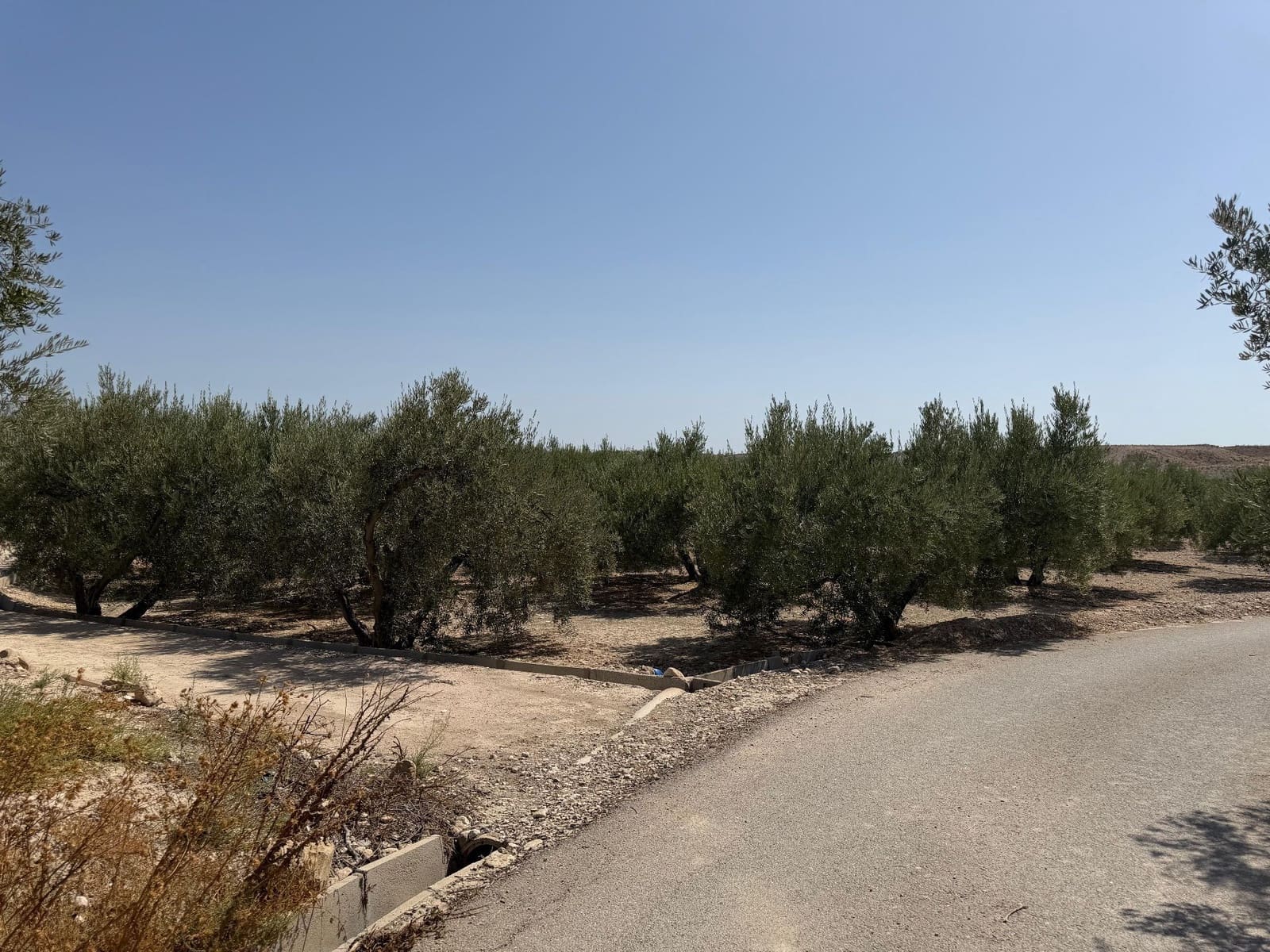 Finca/Casa Rural en Abanilla en venta - 23.900 € (Ref: 10057952)