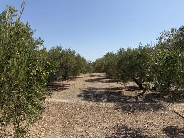 Finca/Country House for sale in Abanilla - € 23,900 (Ref: 10057952)