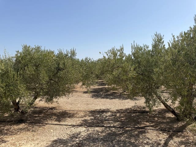 Finca/Country House for sale in Abanilla - € 23,900 (Ref: 10057952)