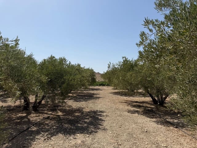 Finca/Country House for sale in Abanilla - € 23,900 (Ref: 10057952)