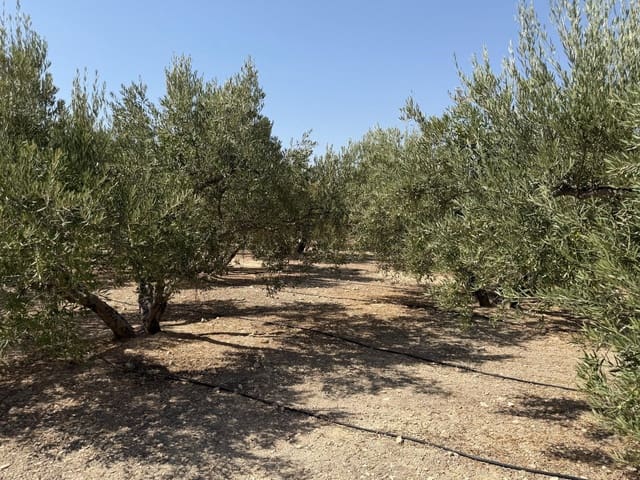 Finca/Country House for sale in Abanilla - € 23,900 (Ref: 10057952)