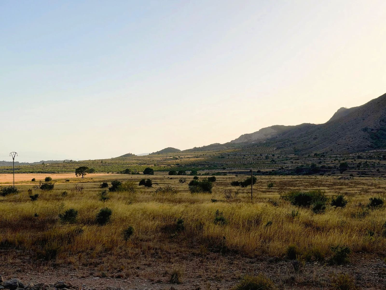 Finca/Landgut zu verkaufen in Barbarroja - 59.900 € (Ref: 10066988)