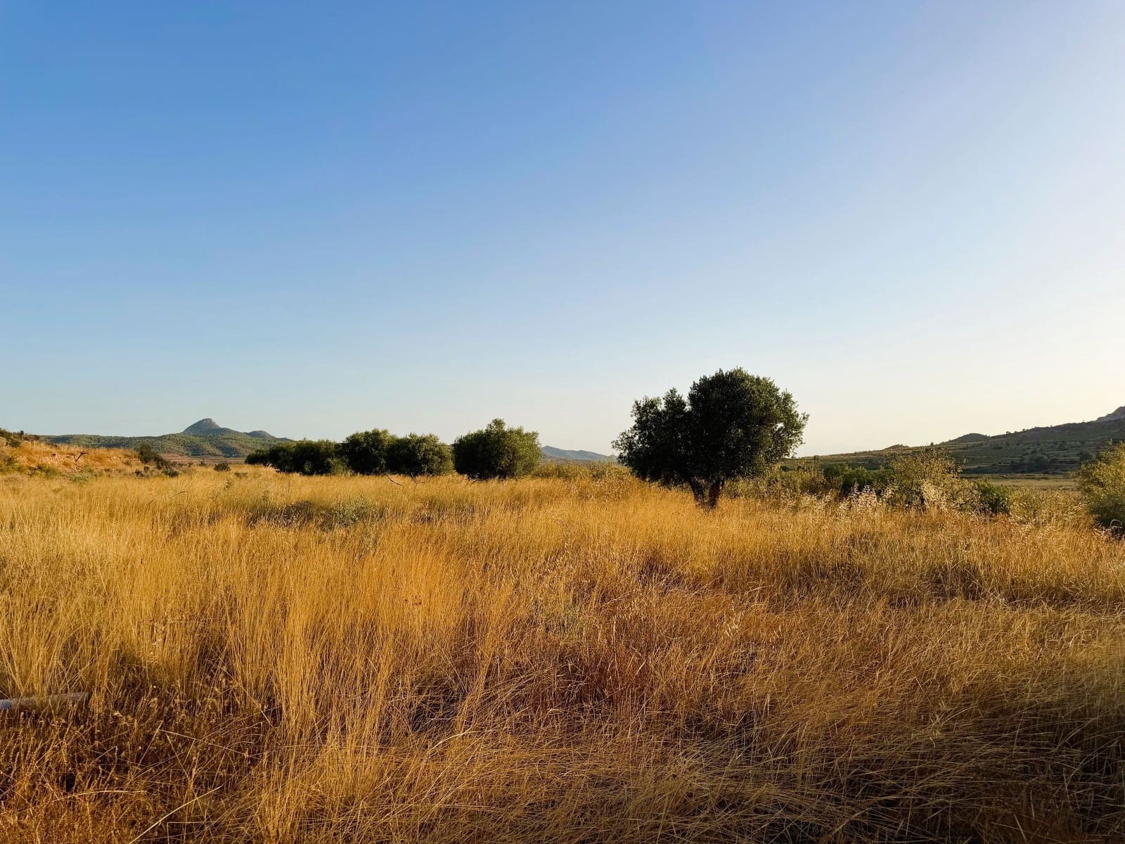 Finca/Landgut zu verkaufen in Barbarroja - 59.900 € (Ref: 10066988)
