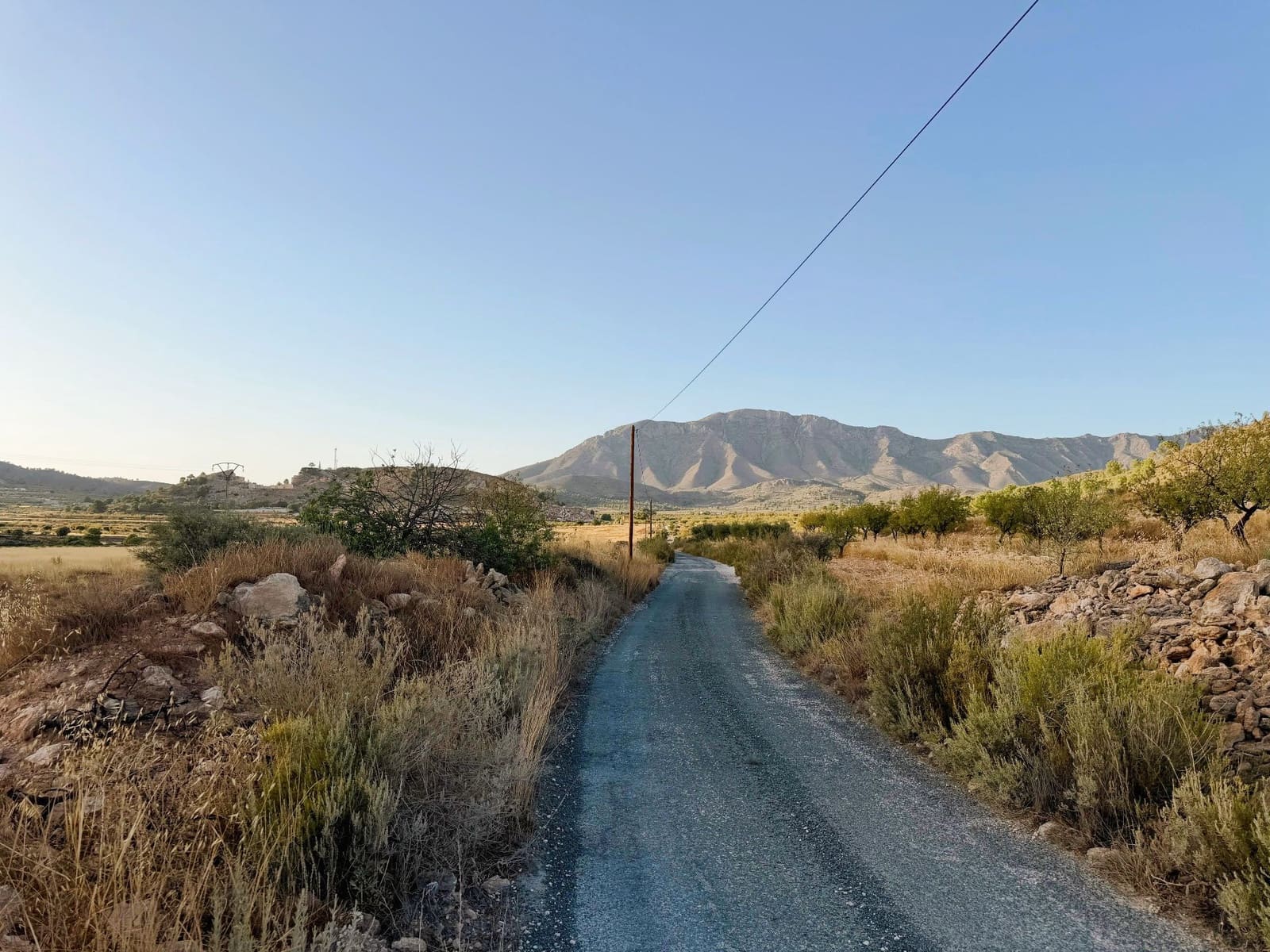 Finca/Landgut zu verkaufen in Barbarroja - 59.900 € (Ref: 10066988)