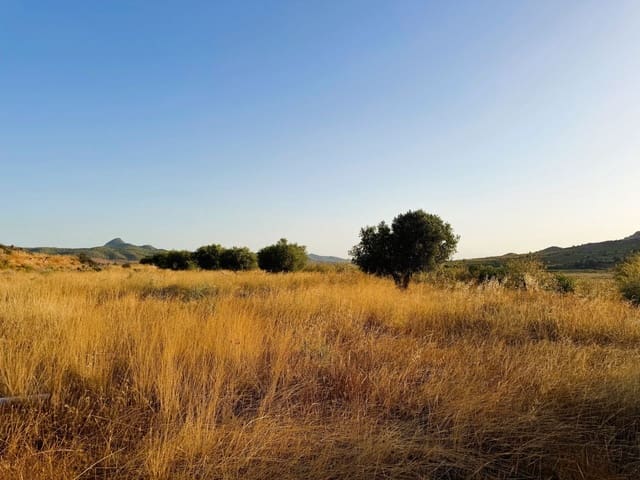 Finca/Herregård til salgs i Barbarroja, Orihuela - € 59 900 (Ref: 10066988)