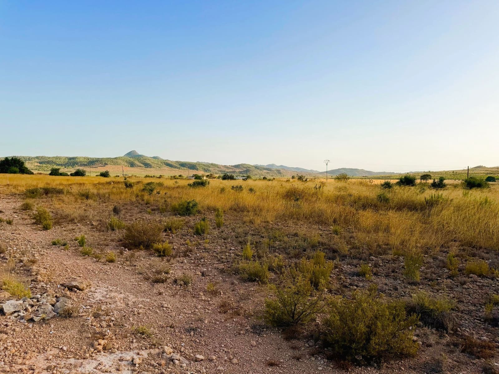 Finca/Landgut zu verkaufen in Barbarroja - 59.900 € (Ref: 10066988)