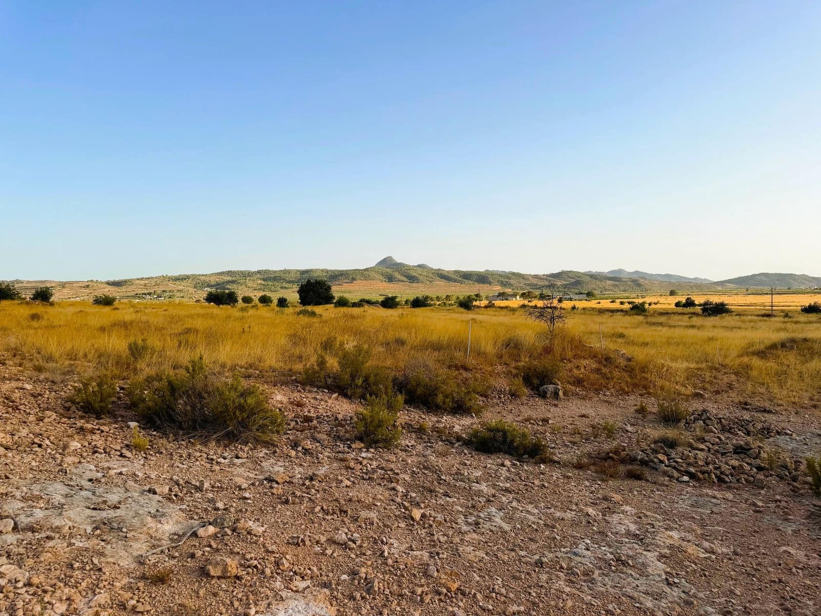 Finca/Landgut zu verkaufen in Barbarroja - 59.900 € (Ref: 10066988)