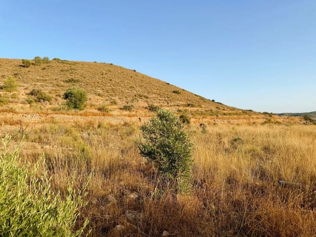 Finca/Herregård til salgs i Barbarroja, Orihuela - € 59 900 (Ref: 10066988)
