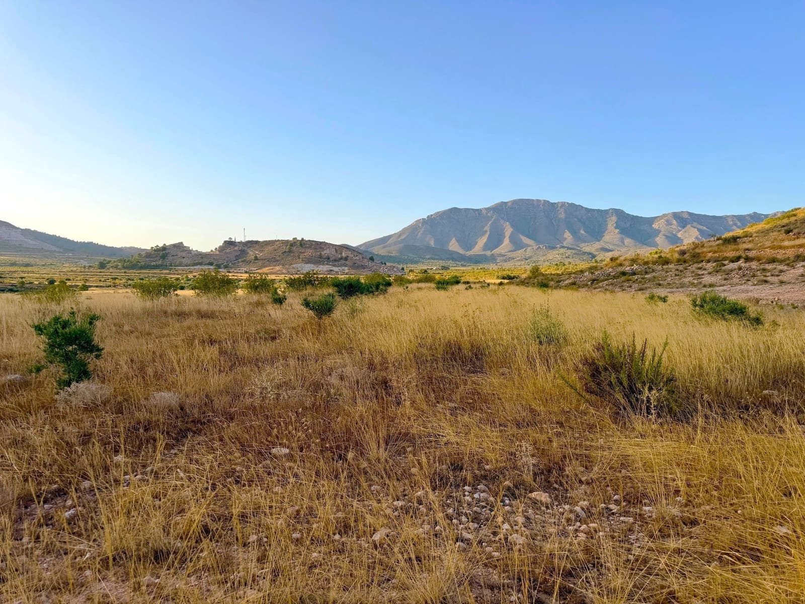 Finca/Landgut zu verkaufen in Barbarroja - 59.900 € (Ref: 10066988)