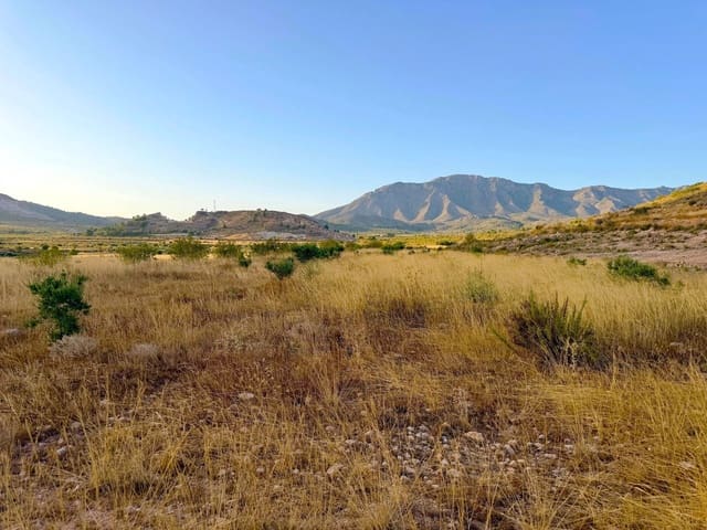 Finca/Herregård til salgs i Barbarroja, Orihuela - € 59 900 (Ref: 10066988)