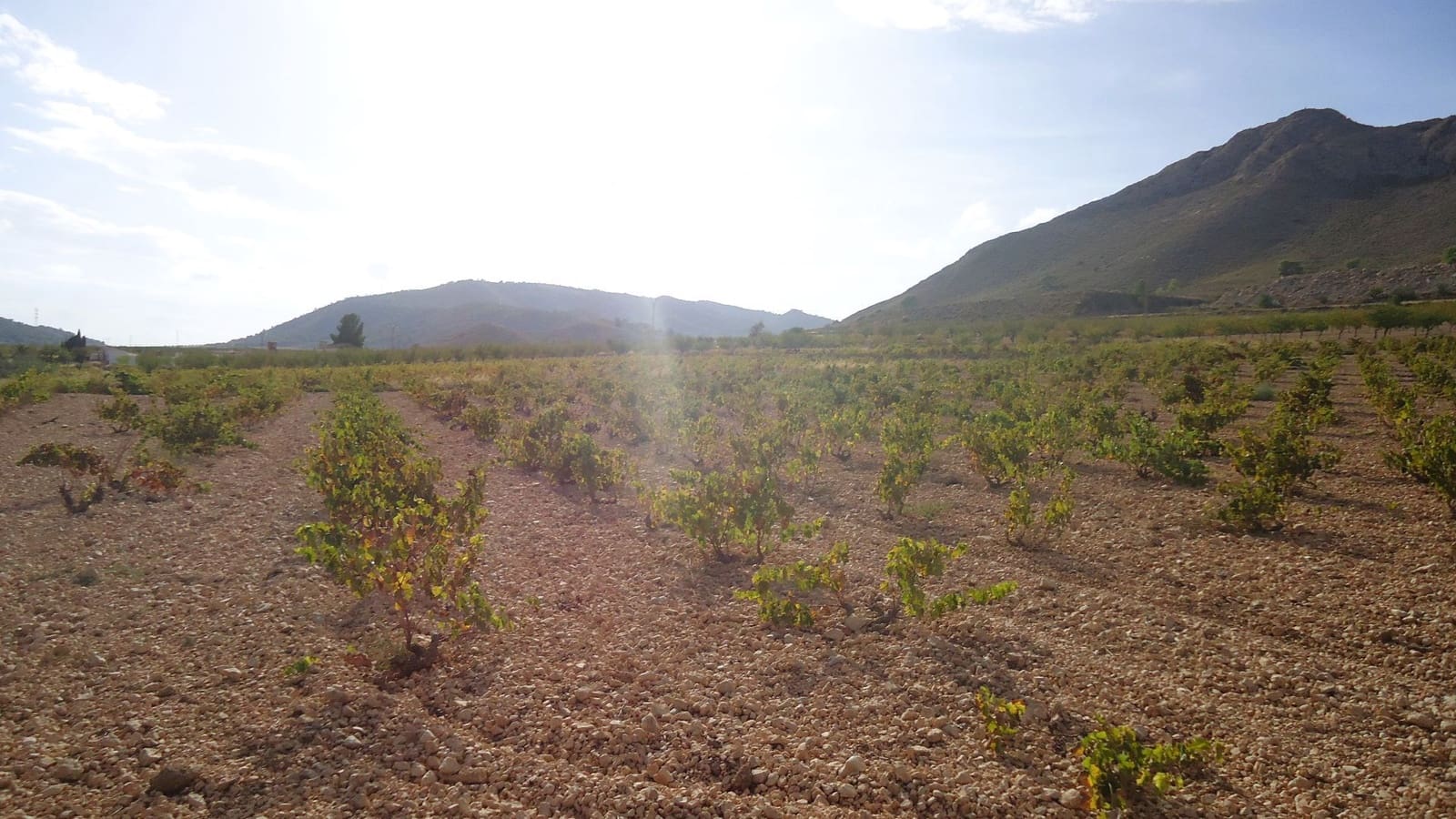 Finca/Country House for sale in Canada de la Lena - € 35,900 (Ref: 10157191)
