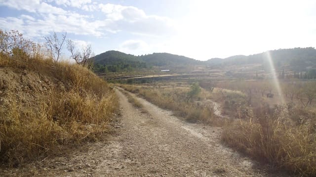 Finca/Country House for sale in Cañada de la Lena, Abanilla - € 35,900 (Ref: 10157191)