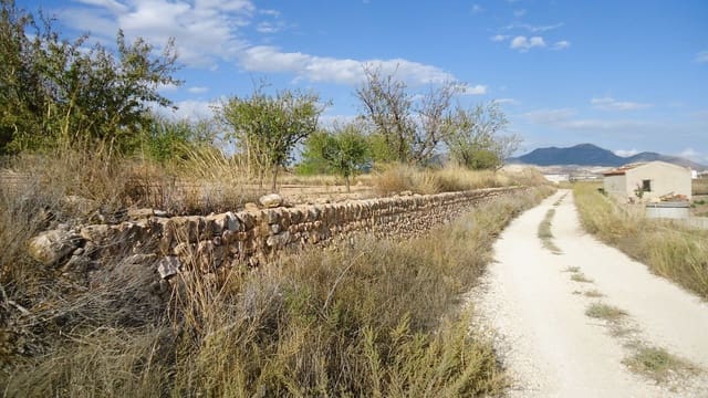 Finca/Country House for sale in Cañada de la Lena, Abanilla - € 35,900 (Ref: 10157191)