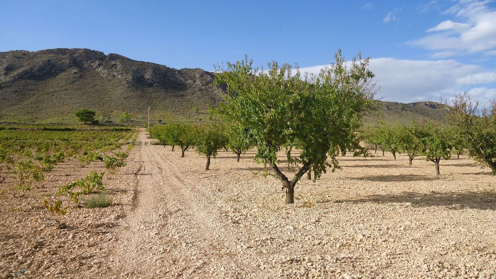 Finca/Country House for sale in Canada de la Lena - € 35,900 (Ref: 10157191)