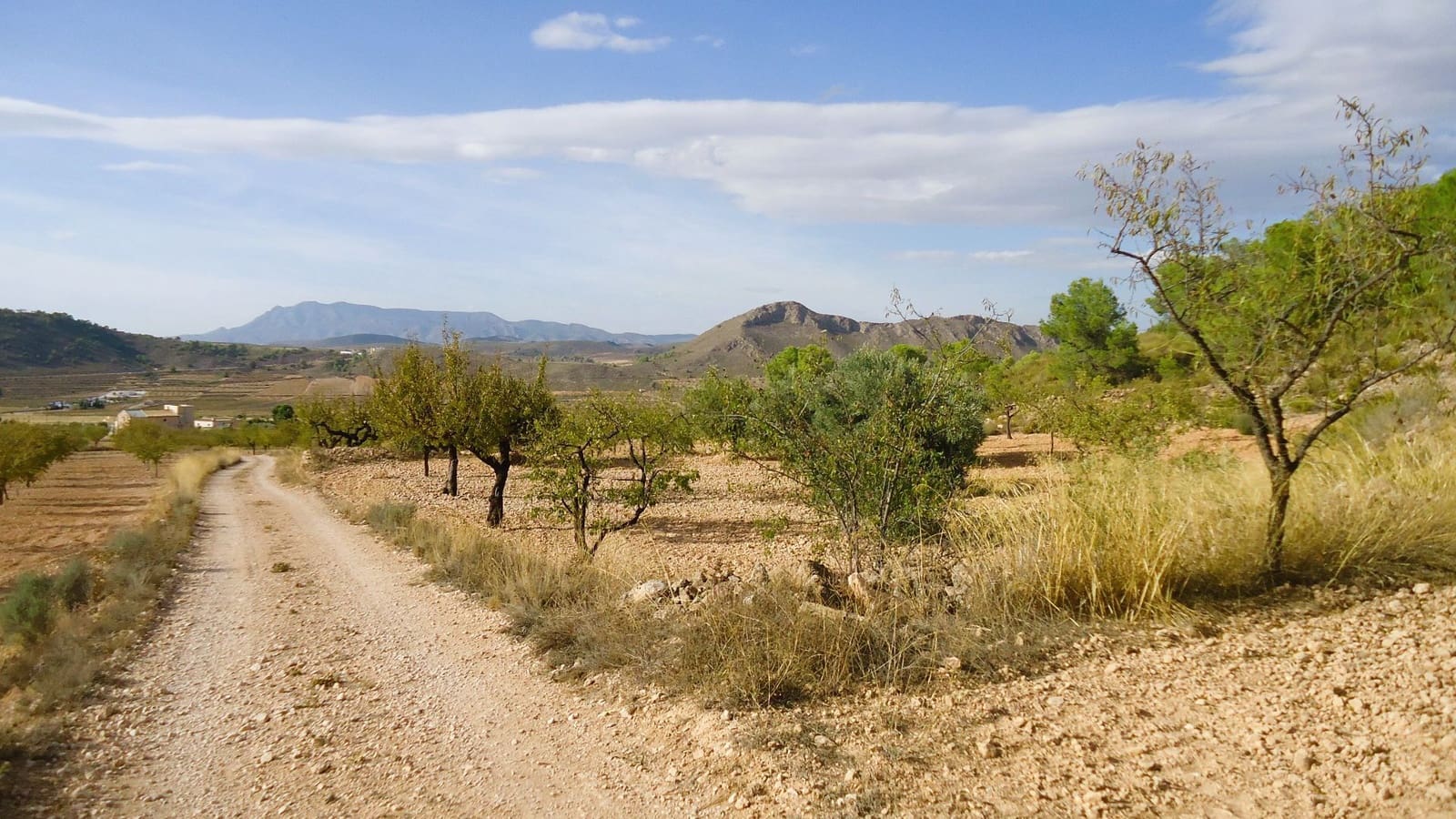 Finca/Country House for sale in Canada de la Lena - € 14,900 (Ref: 10157192)