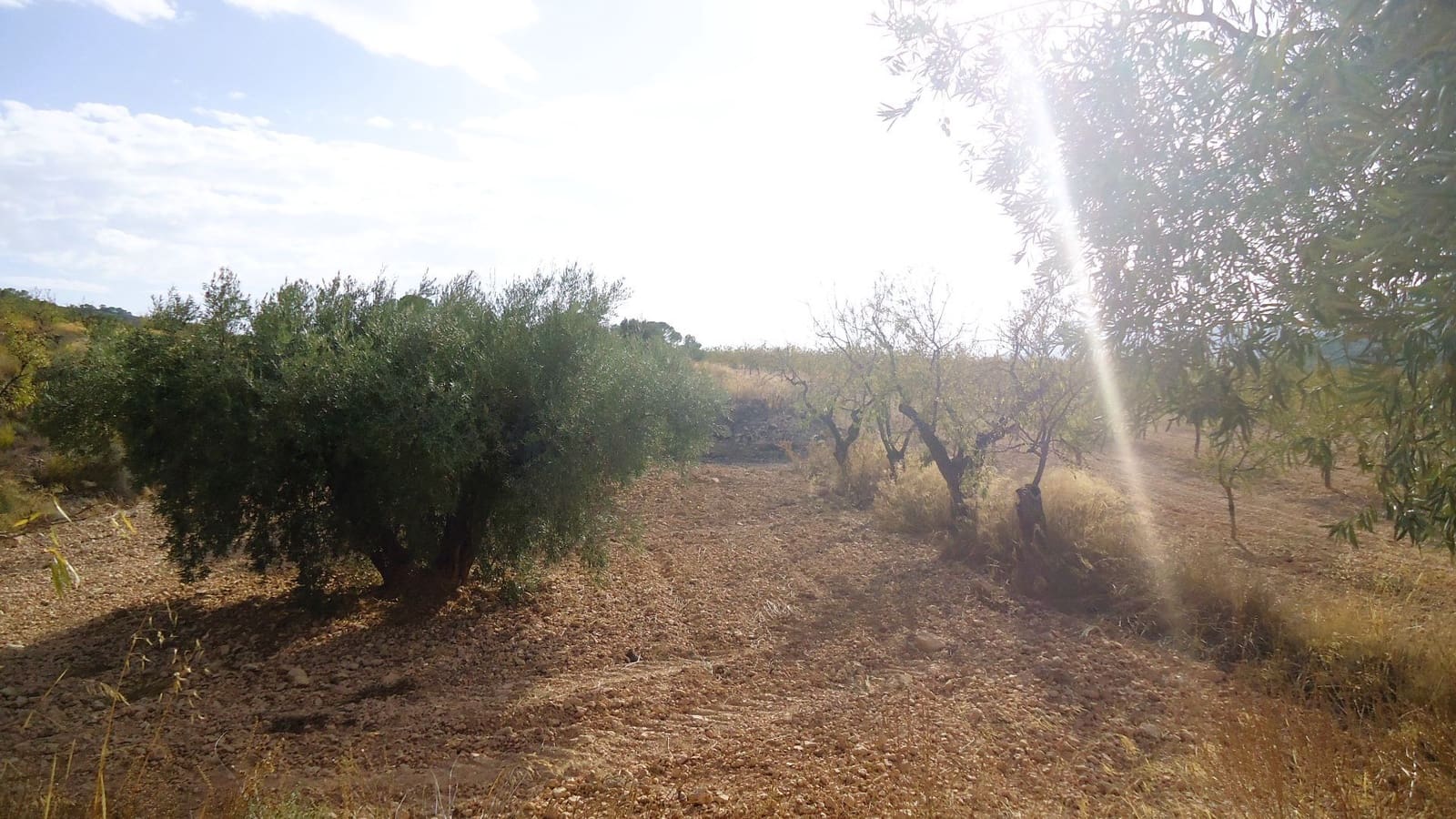 Finca/Country House for sale in Canada de la Lena - € 14,900 (Ref: 10157192)