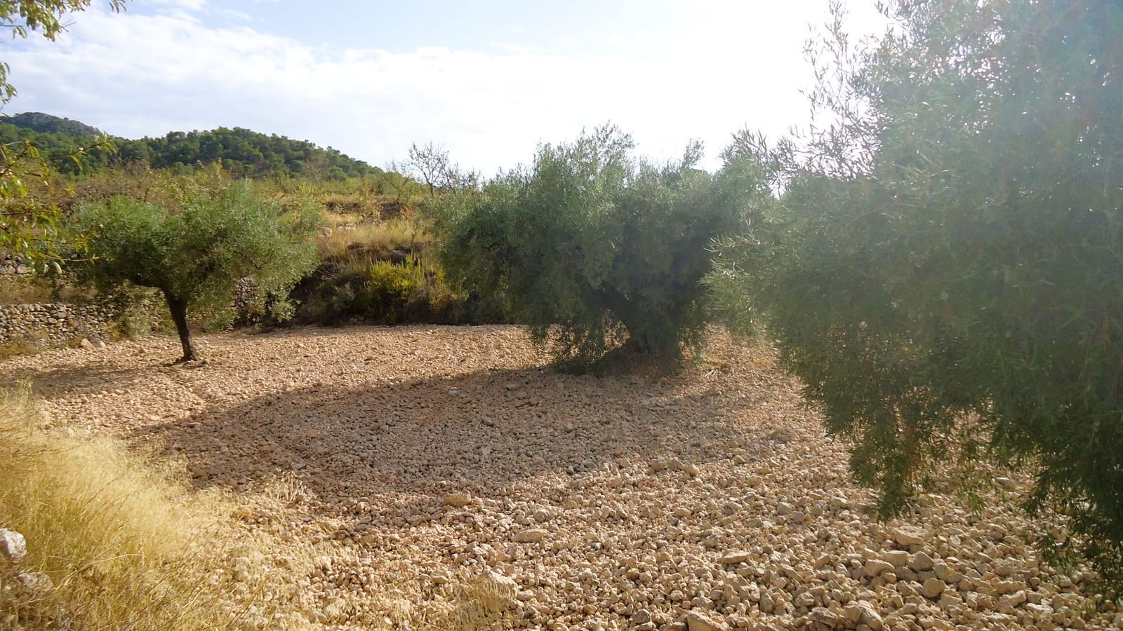 Finca/Country House for sale in Canada de la Lena - € 14,900 (Ref: 10157192)
