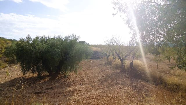 Finca/Country House for sale in Cañada de la Lena, Abanilla - € 14,900 (Ref: 10157192)