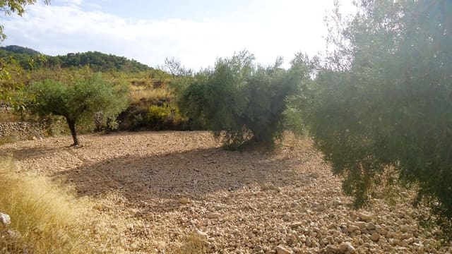 Finca/Country House for sale in Cañada de la Lena, Abanilla - € 14,900 (Ref: 10157192)