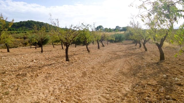 Finca/Country House for sale in Cañada de la Lena, Abanilla - € 14,900 (Ref: 10157192)