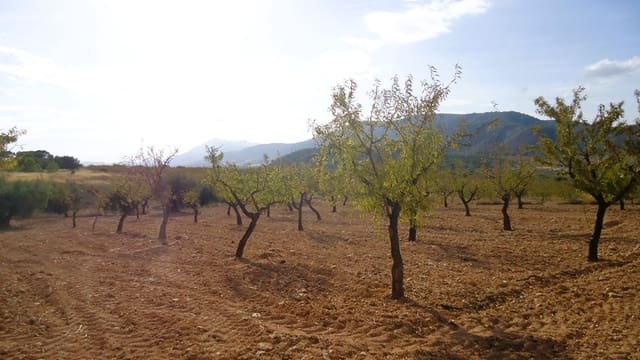 Finca/Country House for sale in Cañada de la Lena, Abanilla - € 14,900 (Ref: 10157192)