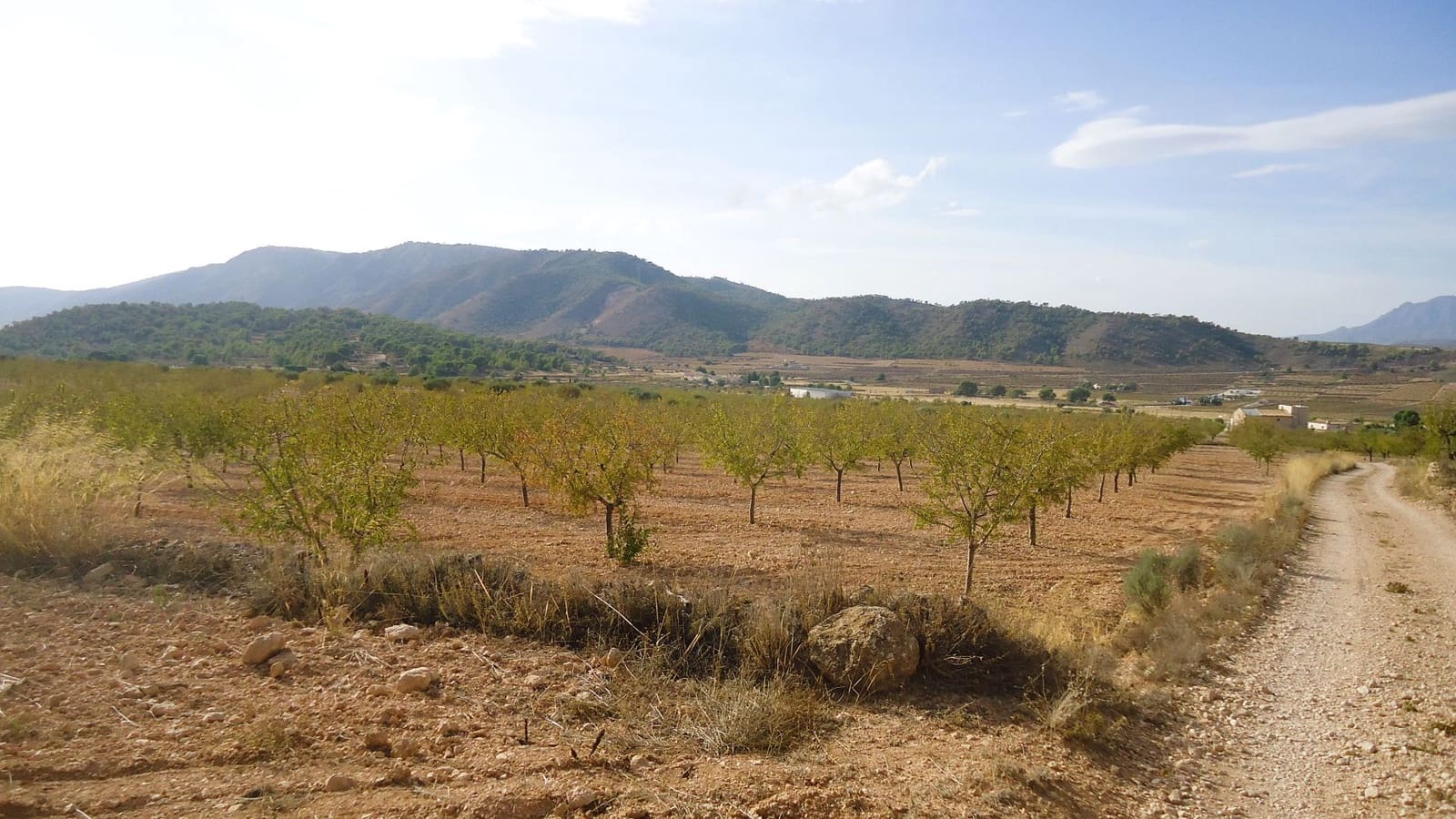 Finca/Country House for sale in Canada de la Lena - € 14,900 (Ref: 10157192)