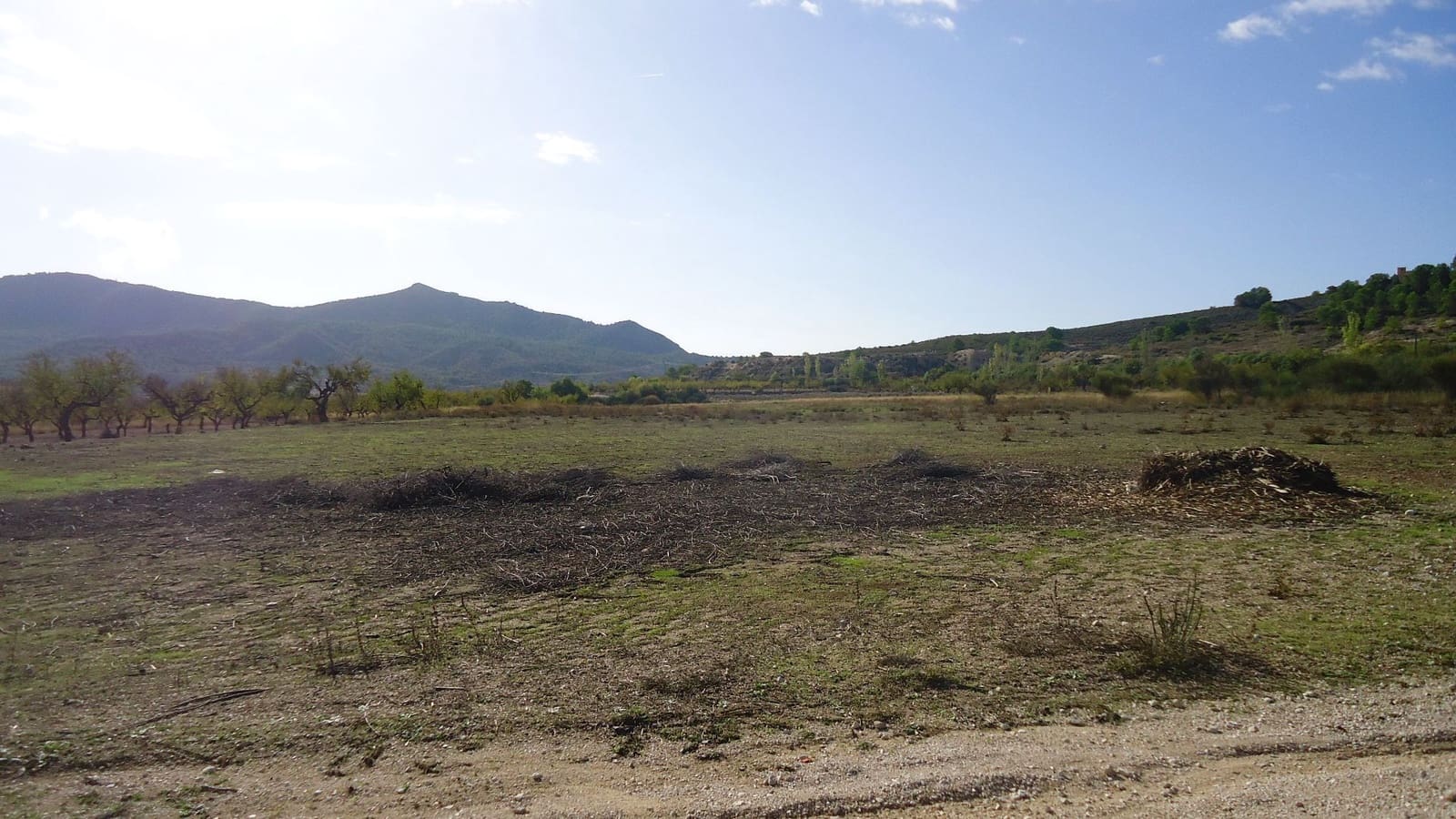 Finca/Country House for sale in Hondon de las Nieves - € 22,900 (Ref: 10158969)
