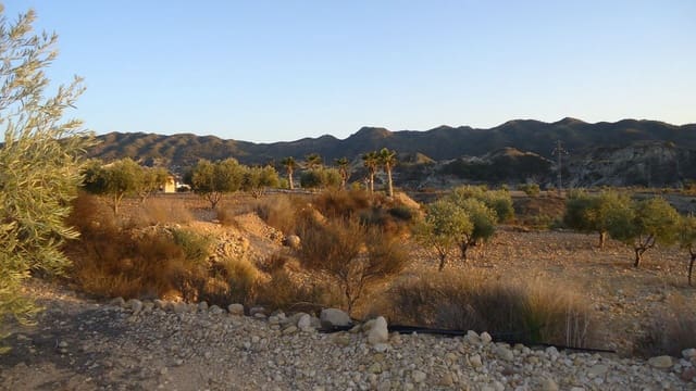 Finca/Maison de Campagne à vendre à Abanilla - 19 900 € (Ref: 8863560)