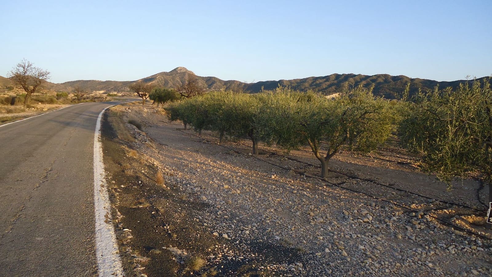 Finka/Dom wiejski na sprzedaż w Abanilla - 19 900 € (Ref: 8863560)