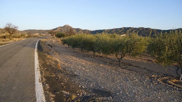 Finca/Maison de Campagne à vendre à Abanilla - 19 900 € (Ref: 8863560)