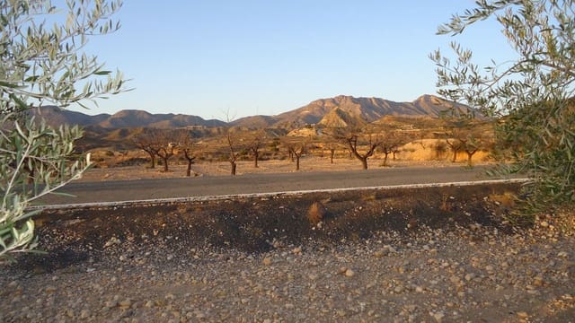 Finca/Maison de Campagne à vendre à Abanilla - 19 900 € (Ref: 8863560)