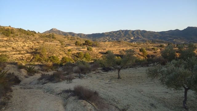 Finca/Maison de Campagne à vendre à Abanilla - 36 900 € (Ref: 8863561)