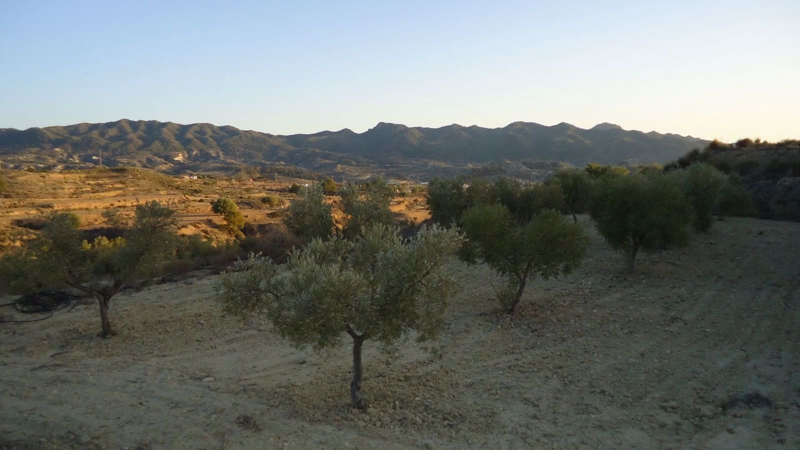 Finca/Maison de Campagne à vendre à Abanilla - 36 900 € (Ref: 8863561)