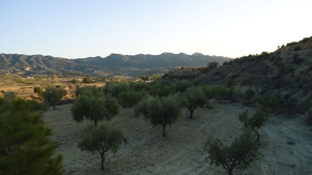 Finca/Maison de Campagne à vendre à Abanilla - 36 900 € (Ref: 8863561)