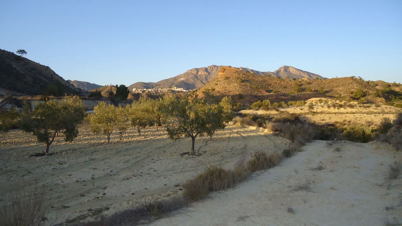 Finca/Maison de Campagne à vendre à Abanilla - 36 900 € (Ref: 8863561)