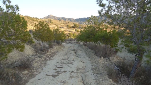 Finca/Maison de Campagne à vendre à Abanilla - 36 900 € (Ref: 8863561)