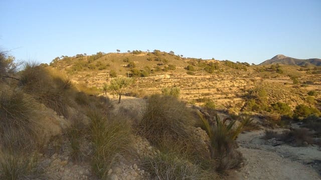 Finca/Maison de Campagne à vendre à Abanilla - 36 900 € (Ref: 8863561)