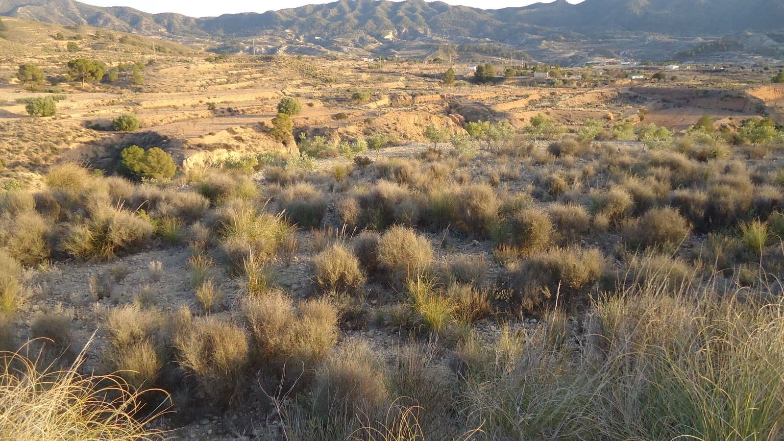 Finca/Maison de Campagne à vendre à Abanilla - 36 900 € (Ref: 8863561)