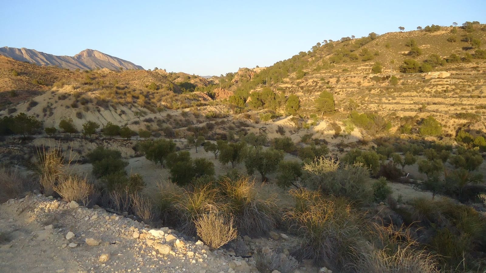 Finca/Maison de Campagne à vendre à Abanilla - 36 900 € (Ref: 8863561)