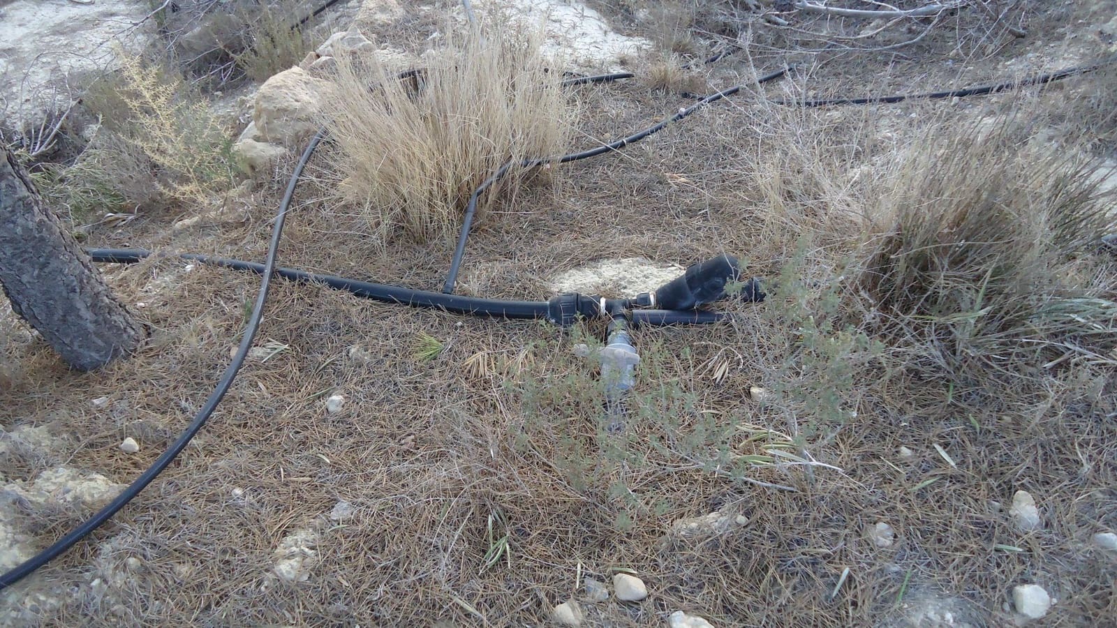 Finca/Maison de Campagne à vendre à Abanilla - 36 900 € (Ref: 8863561)