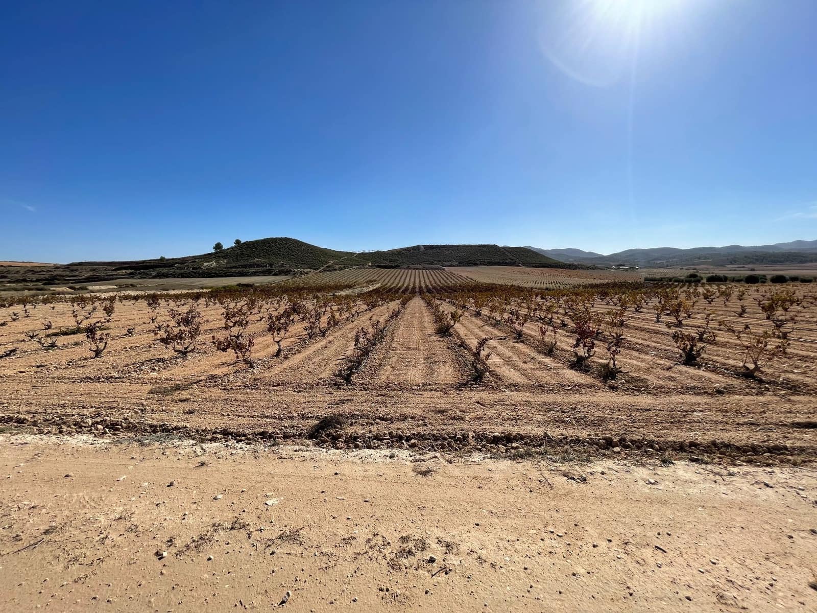 Finca/Country House for sale in Jumilla - € 49,900 (Ref: 8863562)