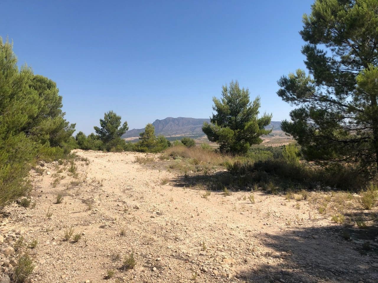 Finca/Landehus til salg i La Zarza - € 29.900 (Ref: 8863563)